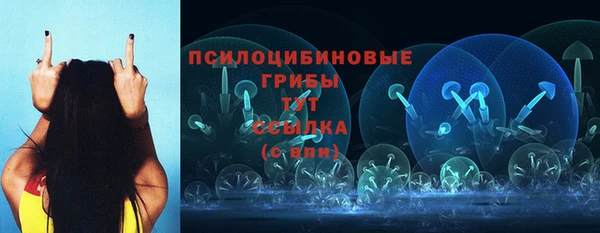 ALPHA-PVP Алексин